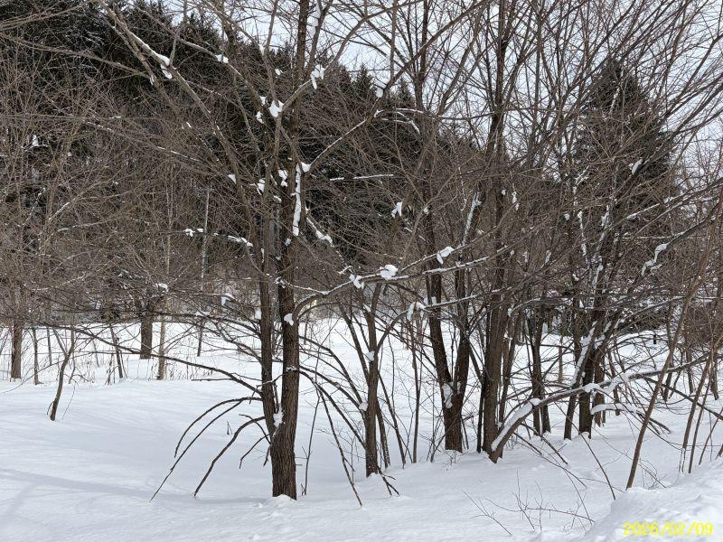 Land in Yachiyogaoka, Higashikagura – photo 4 of 11 – Higashikagura, Hokkaido, Hokkaido, Japan