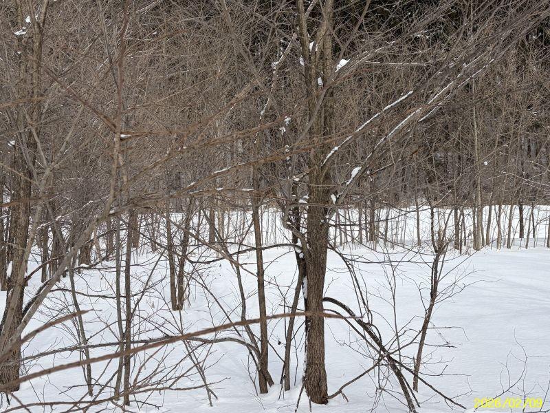 Land in Yachiyogaoka, Higashikagura – photo 5 of 11 – Higashikagura, Hokkaido, Hokkaido, Japan