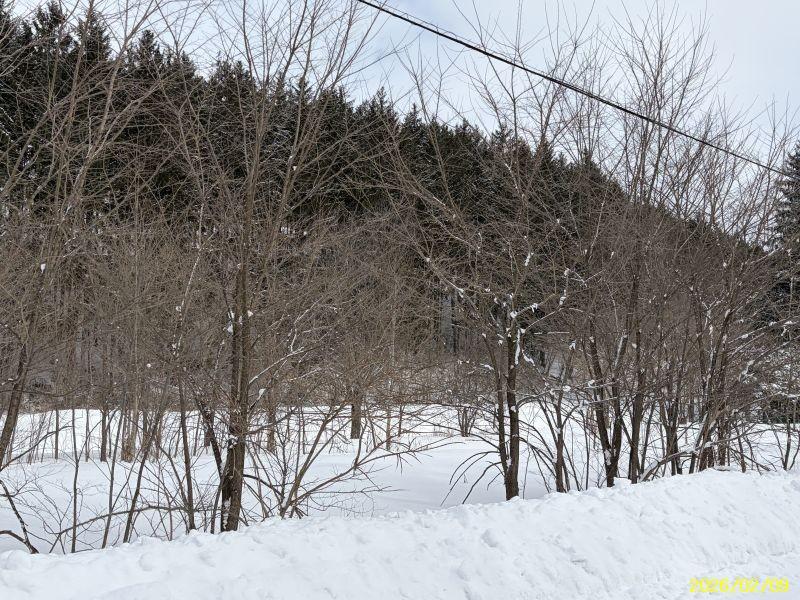 Land in Yachiyogaoka, Higashikagura – photo 6 of 11 – Higashikagura, Hokkaido, Hokkaido, Japan
