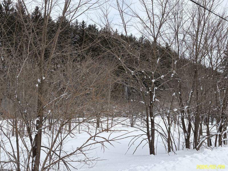 Land in Yachiyogaoka, Higashikagura – photo 7 of 11 – Higashikagura, Hokkaido, Hokkaido, Japan