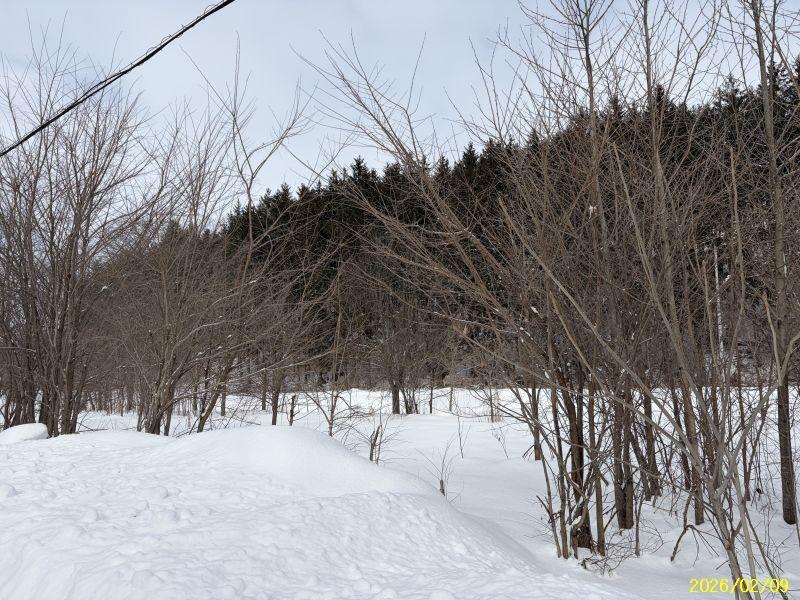 Land in Yachiyogaoka, Higashikagura – photo 8 of 11 – Higashikagura, Hokkaido, Hokkaido, Japan