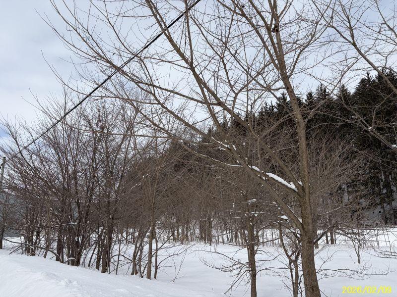 Land in Yachiyogaoka, Higashikagura – photo 9 of 11 – Higashikagura, Hokkaido, Hokkaido, Japan