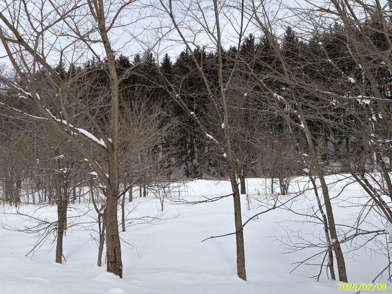 Land in Yachiyogaoka, Higashikagura – photo 10 of 11 – Higashikagura, Hokkaido, Hokkaido, Japan
