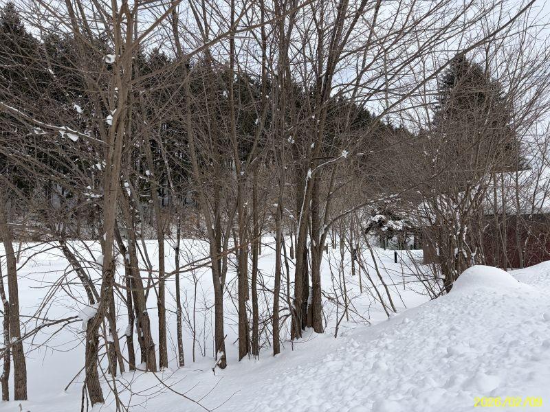 Land in Yachiyogaoka, Higashikagura – photo 11 of 11 – Higashikagura, Hokkaido, Hokkaido, Japan