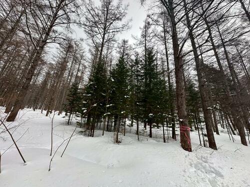 Land in Higashishikagoe, Minamifurano – photo 3 of 16 – Minamifurano, Furano Basin, Hokkaido, Japan