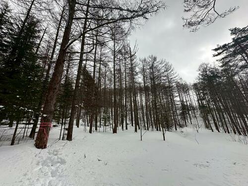 Land in Higashishikagoe, Minamifurano – photo 4 of 16 – Minamifurano, Furano Basin, Hokkaido, Japan