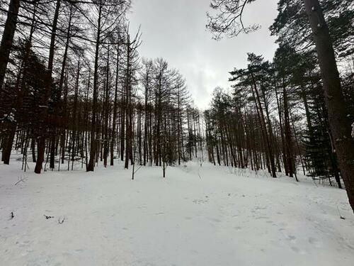 Land in Higashishikagoe, Minamifurano – photo 5 of 16 – Minamifurano, Furano Basin, Hokkaido, Japan