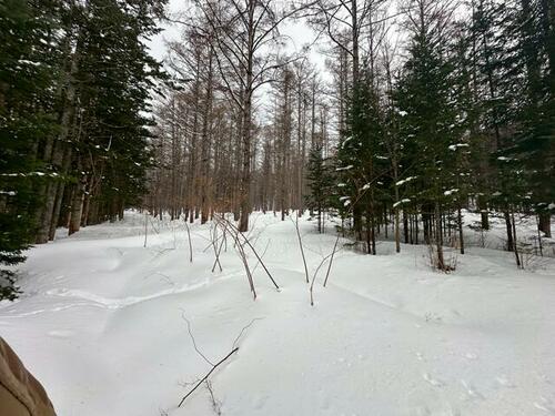 Land in Higashishikagoe, Minamifurano – photo 6 of 16 – Minamifurano, Furano Basin, Hokkaido, Japan