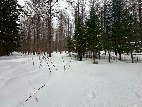 Land in Higashishikagoe, Minamifurano – photo 7 of 16 – Minamifurano, Furano Basin, Hokkaido, Japan