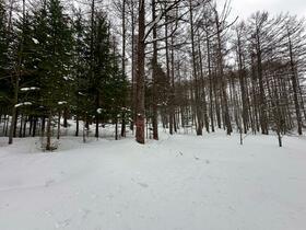 Land in Higashishikagoe, Minamifurano – photo 8 of 16 – Minamifurano, Furano Basin, Hokkaido, Japan