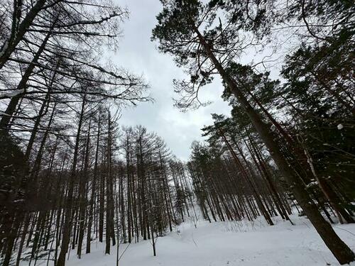 Land in Higashishikagoe, Minamifurano – photo 9 of 16 – Minamifurano, Furano Basin, Hokkaido, Japan