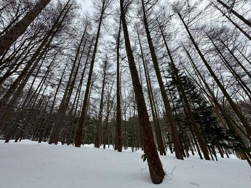 Land in Higashishikagoe, Minamifurano – photo 11 of 16 – Minamifurano, Furano Basin, Hokkaido, Japan