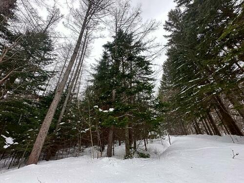 Land in Higashishikagoe, Minamifurano – photo 13 of 16 – Minamifurano, Furano Basin, Hokkaido, Japan