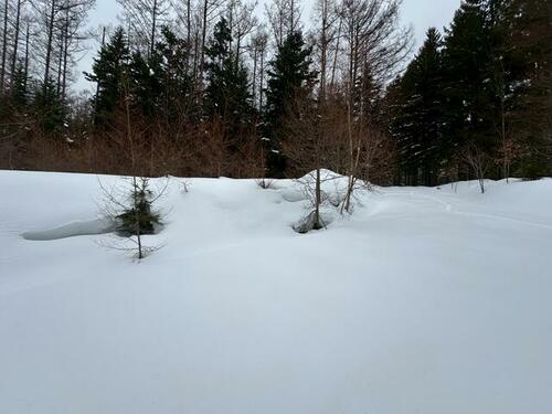 Land in Higashishikagoe, Minamifurano – photo 14 of 16 – Minamifurano, Furano Basin, Hokkaido, Japan