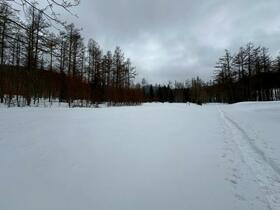 Land in Higashishikagoe, Minamifurano – photo 15 of 16 – Minamifurano, Furano Basin, Hokkaido, Japan