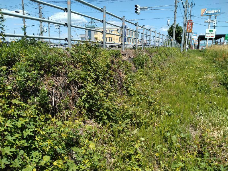 Land in Higashitakasu 1 Sen, Asahikawa – photo 11 of 15 – Asahikawa, Asahikawa, Hokkaido, Japan