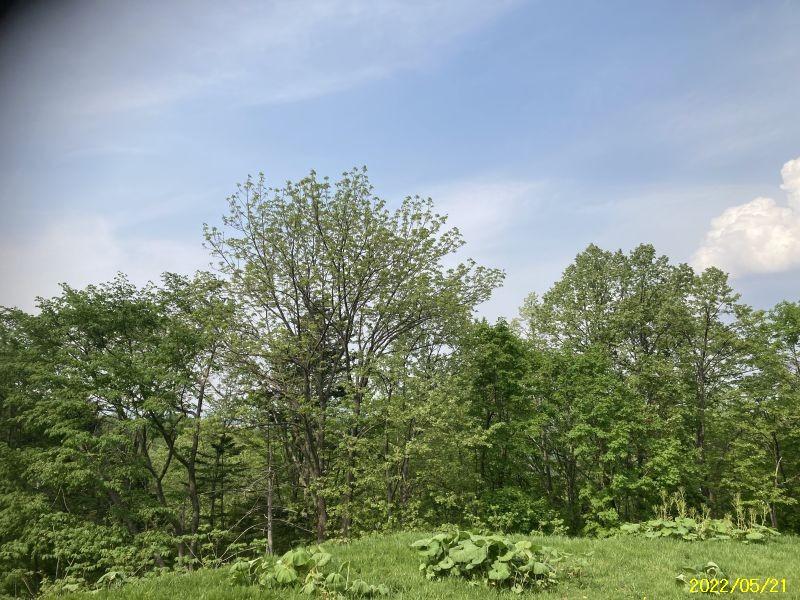 Land in Asahikawa, Hokkaido – ¥2,200,000 – photo 3 of 11 – Hokkaido, Hokkaido, Japan
