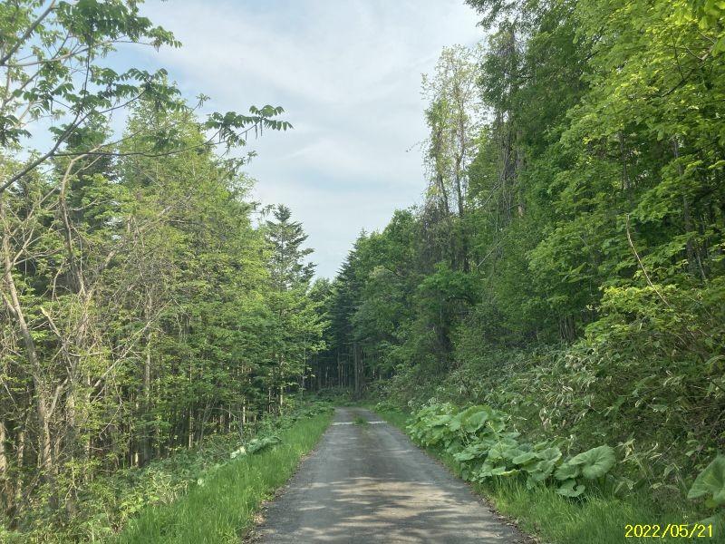 Land in Asahikawa, Hokkaido – ¥2,200,000 – photo 7 of 11 – Hokkaido, Hokkaido, Japan