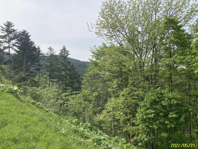 Land in Asahikawa, Hokkaido – ¥2,200,000 – photo 10 of 11 – Hokkaido, Hokkaido, Japan