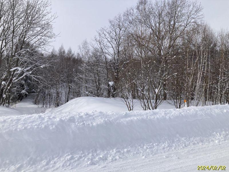 Land in Asahikawa, Hokkaido – ¥2,000,000 – Hokkaido, Hokkaido, Japan