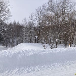 Land in Higashiasahikawacho, Asahikawa