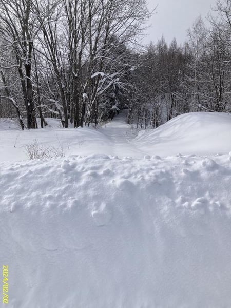 Land in Asahikawa, Hokkaido – ¥2,000,000 – photo 2 of 4 – Hokkaido, Hokkaido, Japan
