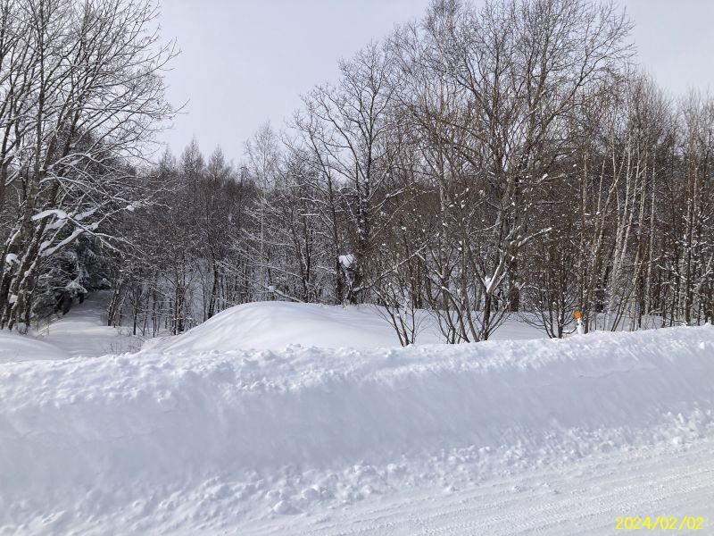 Land in Asahikawa, Hokkaido – ¥2,000,000 – photo 3 of 4 – Hokkaido, Hokkaido, Japan