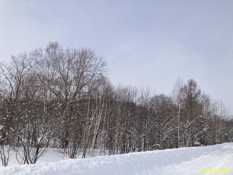Land in Asahikawa, Hokkaido – ¥2,000,000 – photo 4 of 4 – Hokkaido, Hokkaido, Japan