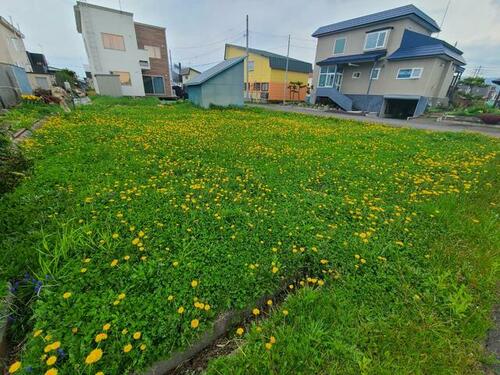 Land in Hokkocho, Fukagawa – photo 9 of 20 – Fukagawa, Asahikawa, Hokkaido, Japan