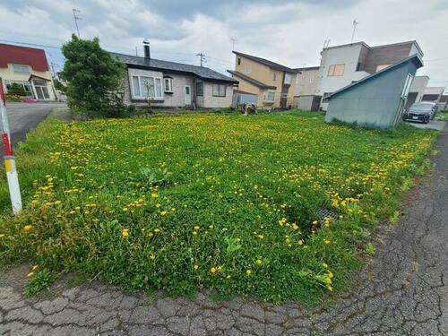 Land in Hokkocho, Fukagawa – photo 10 of 20 – Fukagawa, Asahikawa, Hokkaido, Japan