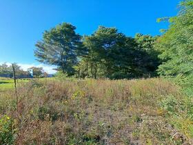 Land in Hokkocho, Fukagawa – photo 15 of 20 – Fukagawa, Asahikawa, Hokkaido, Japan