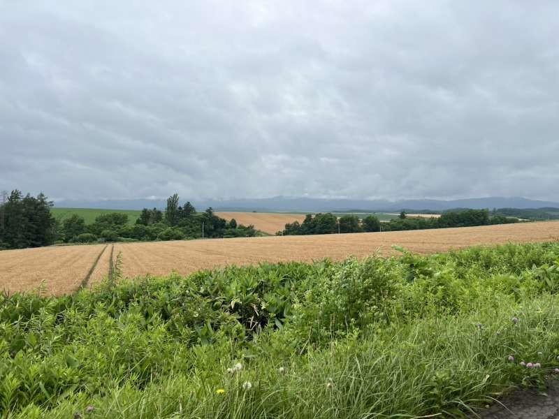 Land in Hokuei, Biei – photo 9 of 10 – Biei, Daisetsuzan Foothills, Hokkaido, Japan
