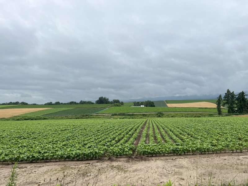Land in Hokuei, Biei – photo 10 of 10 – Biei, Daisetsuzan Foothills, Hokkaido, Japan