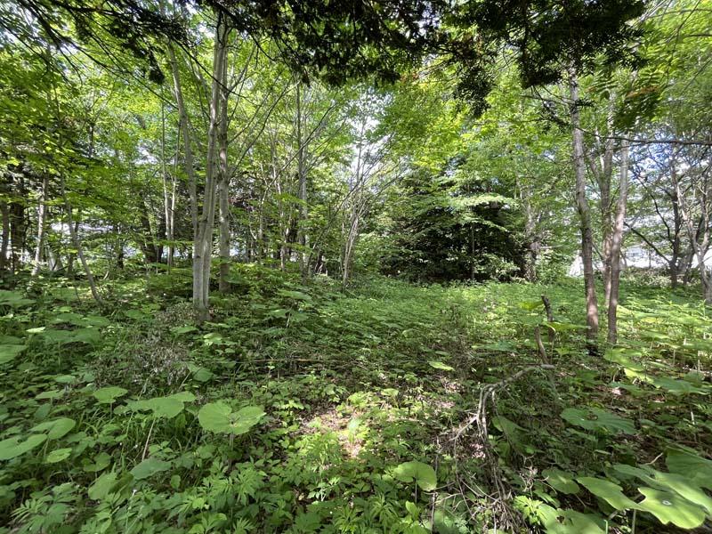 Land in Honcho, Ashibetsu – photo 4 of 7 – Ashibetsu, Central Rice Belt, Hokkaido, Japan