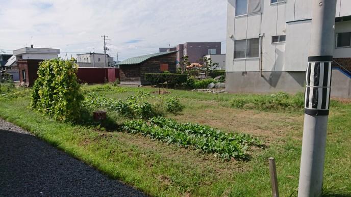 Land in Kagura, Asahikawa – photo 5 of 9 – Asahikawa, Asahikawa, Hokkaido, Japan