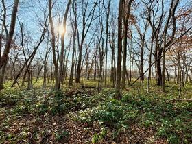 Land in Kaiseicho, Fukagawa – photo 7 of 15 – Fukagawa, Asahikawa, Hokkaido, Japan