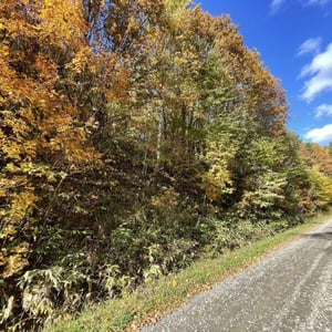 Land in Kamifurano