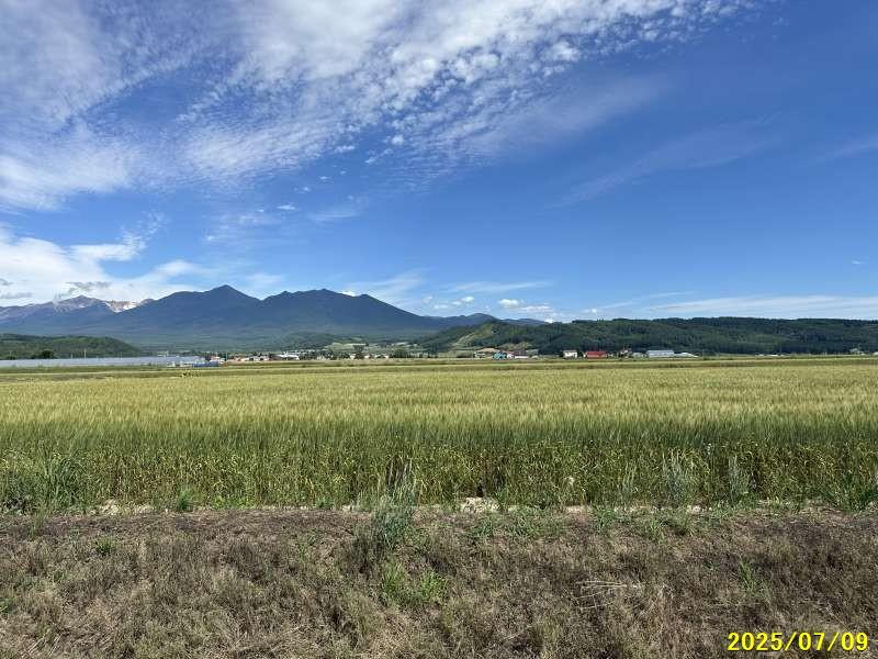 Land in Kamifurano – photo 4 of 8 – Kamifurano, Furano Basin, Hokkaido, Japan