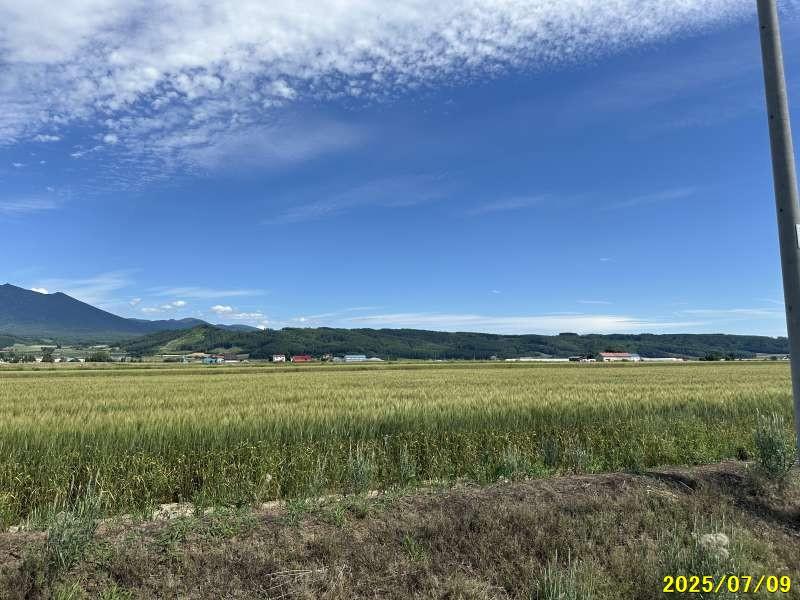 Land in Kamifurano – photo 6 of 8 – Kamifurano, Furano Basin, Hokkaido, Japan