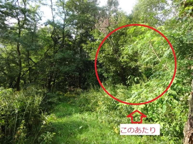 Land in Kamuichō, Asahikawa – Asahikawa, Asahikawa, Hokkaido, Japan