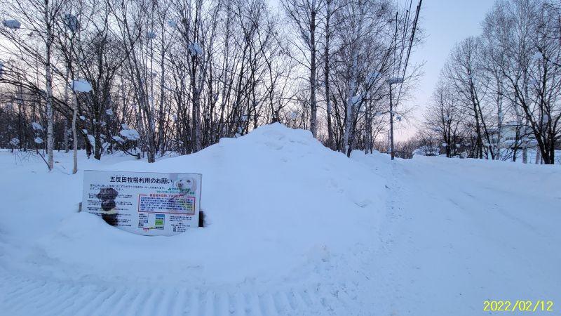 Land in Kamuichō, Asahikawa – photo 10 of 14 – Asahikawa, Asahikawa, Hokkaido, Japan