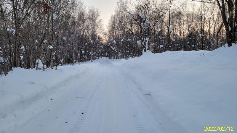 Land in Kamuichō, Asahikawa – photo 13 of 14 – Asahikawa, Asahikawa, Hokkaido, Japan