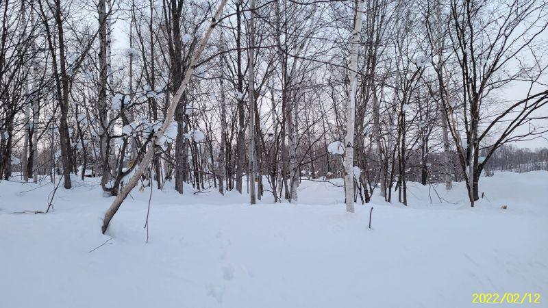 Land in Kamuichō, Asahikawa – photo 14 of 14 – Asahikawa, Asahikawa, Hokkaido, Japan