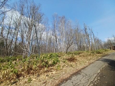 Land in Kamuicho, Asahikawa – photo 4 of 7 – Asahikawa, Asahikawa, Hokkaido, Japan