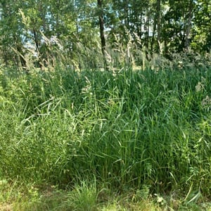 Land in Kamuichō, Asahikawa