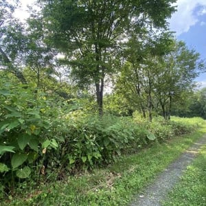 Land in Kamuichō, Asahikawa