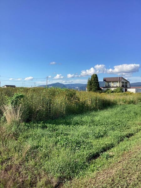 Land in Kita, Pippu – photo 6 of 8 – Pippu, Daisetsuzan Foothills, Hokkaido, Japan