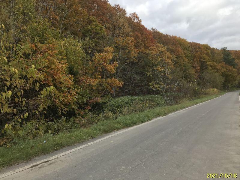 Land in Kitamachi, Higashikawa – Higashikawa, Kamikawa, Hokkaido, Japan