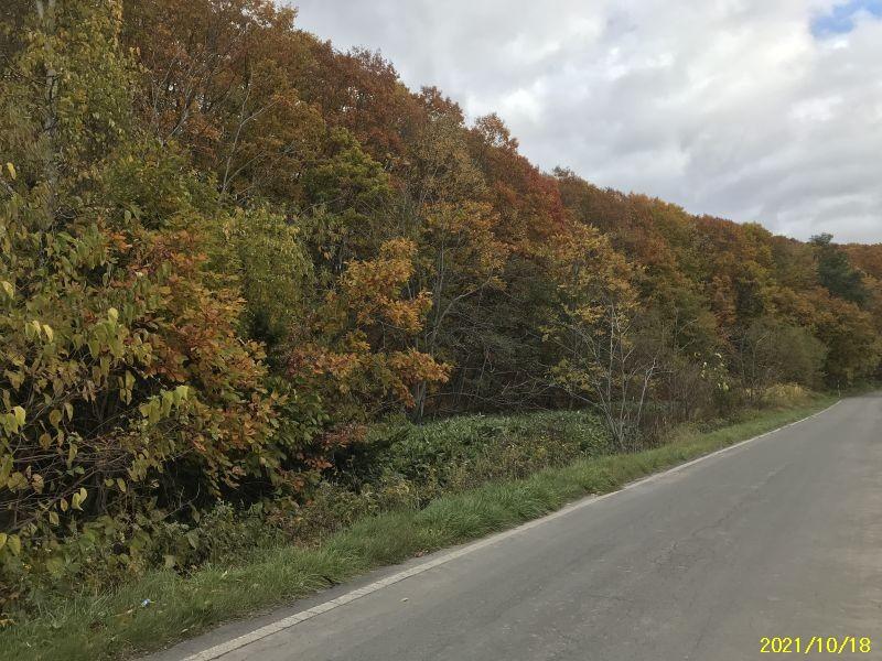 Land in Kitamachi, Higashikawa – photo 2 of 4 – Higashikawa, Kamikawa, Hokkaido, Japan