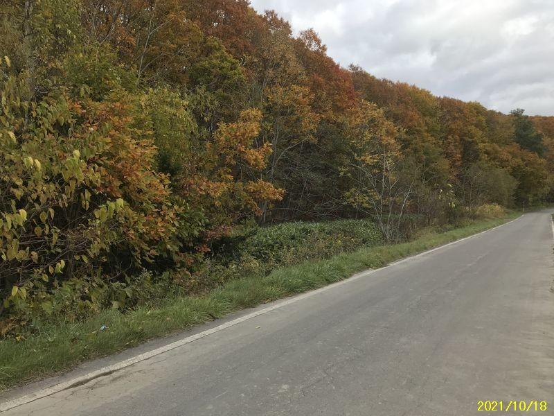 Land in Kitamachi, Higashikawa – photo 4 of 4 – Higashikawa, Kamikawa, Hokkaido, Japan